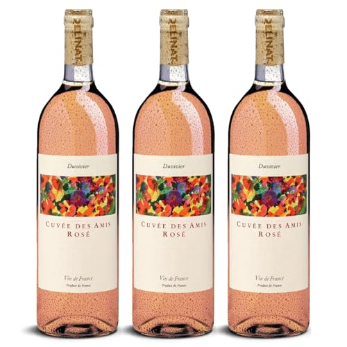 DELINAT – Duvivier Cuvée des Amis rosé 2023 – Französischer Roséwein trocken – Bio-Wein aus der Provence, vegan (3 x 0,75l) von Delinat