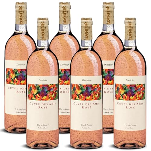 DELINAT – Duvivier Cuvée des Amis rosé 2023 – Französischer Roséwein trocken – Bio-Wein aus der Provence, vegan (6 x 0,75l) von Delinat