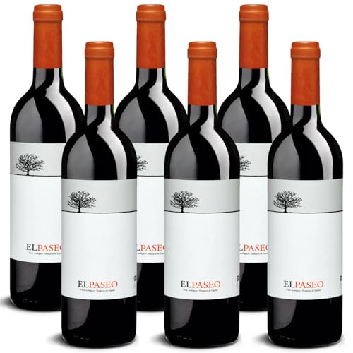 DELINAT – El Paseo 2022 – Spanischer Rotwein trocken – Bio-Wein aus Navarra, vegan (6 x 0,75l) von Delinat