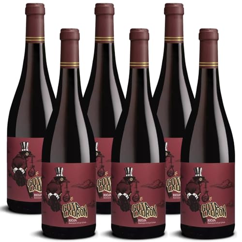 DELINAT – Las Cepas Gotaladrón 2020 – Spanischer Rotwein trocken – Bio-Wein aus der Rioja, vegan (6 x 0,75l) von Delinat