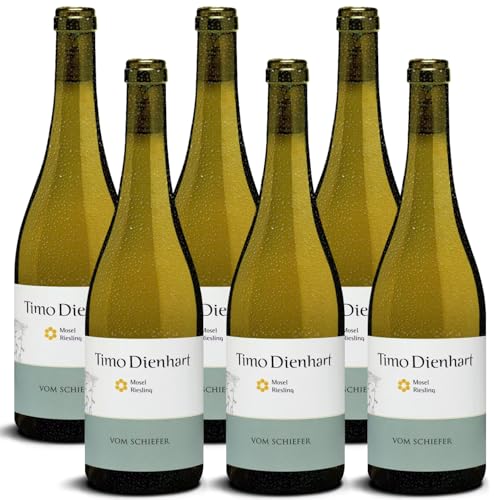 DELINAT – Timo Dienhart Riesling vom Schiefer 2023 – Deutscher Weißwein halbtrocken – Bio-Wein aus der Mosel-Region, vegan (6 x 0,75l) von Delinat