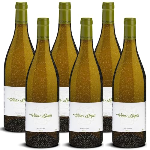 DELINAT – Viña Llopis 2022 – Spanischer Weißwein trocken – Bio-Wein aus Valencia, vegan (6 x 0,75l) von Delinat