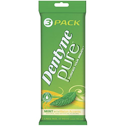 Dentyne Pure Mint mit Melonen-Akzenten, zuckerfreier Gummi, 3 Stück, 9 Stück (1 Bestellung 27 Stück) von Dentyne