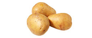 Frühkartoffeln Universa, festkochend (1 kg) von Italien