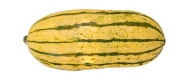 Kürbis Delicata (1 kg) von Deutschland