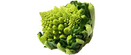 Romanesco von Deutschland