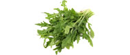 Rucola (Schale) von Italien