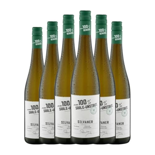 Sylvaner Trocken 75 cl Weißwein (Karton mit 6 Flaschen von 75 cl) von Deutschland