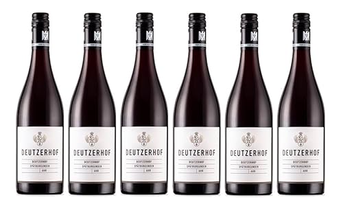 6x 0,75l - 2020er - Deutzerhof - Spätburgunder trocken - VDP.Gutswein - Qualitätswein Ahr - Deutschland - Rotwein trocken von Deutzerhof