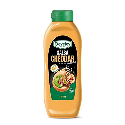 CHEDDAR SALSA 875 ml - Karton 8 Stück von Develey