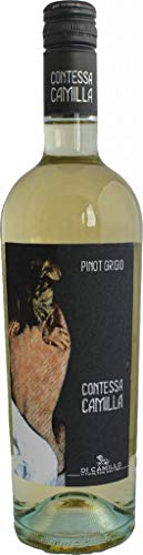 Di Camillo Vini Pinot Grigio Contessa Camilla Abruzzo IGT 2023 (1 x 0.750 l) von Di Camillo Vini