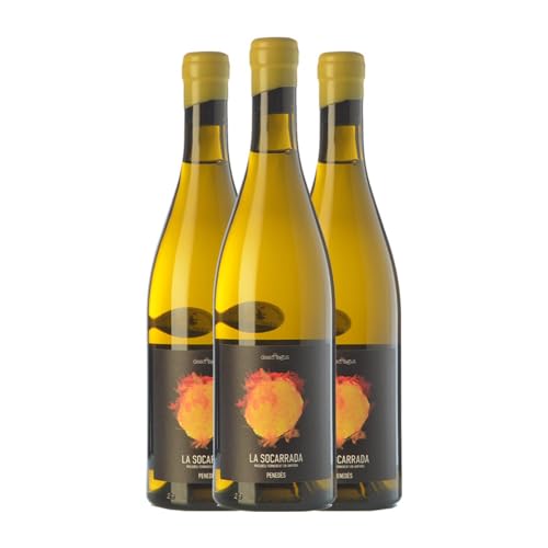 Can Descregut La Socarrada Macabeo Penedès 75 cl (Schachtel mit 3 Flaschen von 75 cl) von Distribuidor