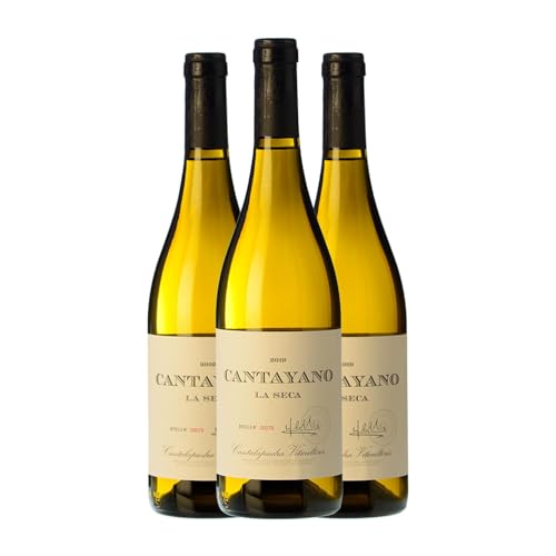 Cantalapiedra Cantayano Verdejo Vino de la Tierra de Castilla y León Alterung 75 cl (Schachtel mit 3 Flaschen von 75 cl) von Distribuidor