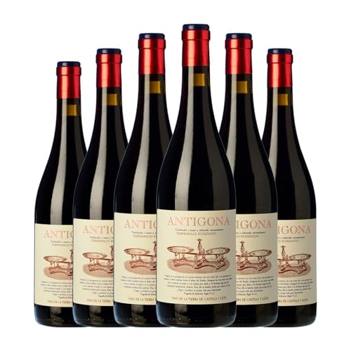 Lagar de Moha Antígona Tempranillo Vino de la Tierra de Castilla y León 75 cl (Schachtel mit 6 Flaschen von 75 cl) von Distribuidor