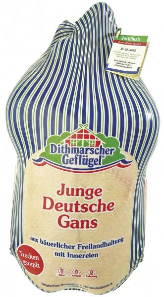 Dithmarscher Geflügel Junge deutsche Gans von Dithmarscher