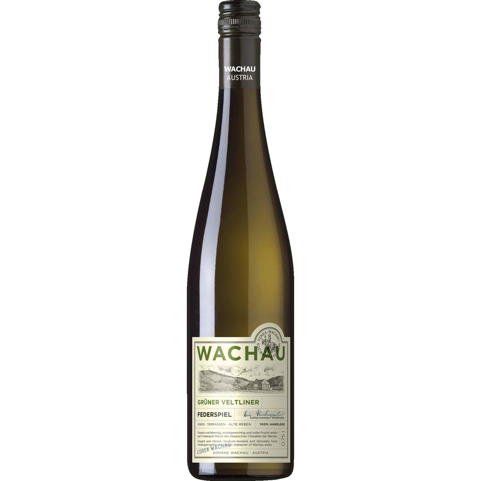 Grüner Veltliner Federspiel Classic, Wachau, Niederösterreich, 2023, Weißwein von Domäne Wachau,3601,Dürnstein,Österreich