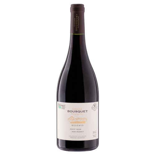 Jean Bousquet - Pinot Noir Reserva 2009 von Domaine Bousquet