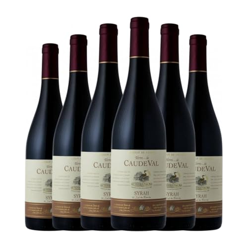 Caude Val Syrah Vin de Pays d'Oc 75 cl Rotwein (Karton mit 6 Flaschen von 75 cl) von Domaine Caude Val