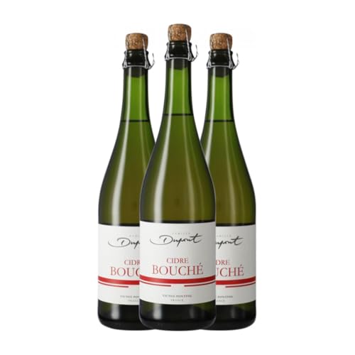 Cidre Dupont Bouché 75 cl (Karton mit 3 Flaschen von 75 cl) von Domaine Dupont