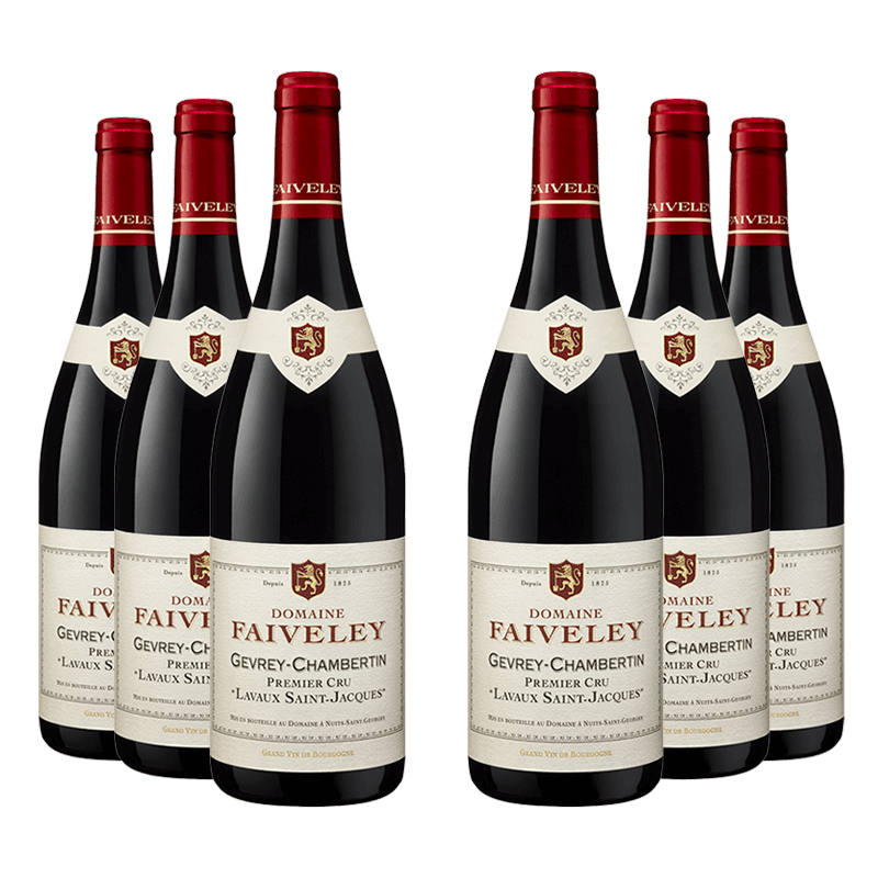 Domaine Faiveley : Gevrey-Chambertin 1er cru "Lavaux Saint-Jacques" 2023 von Domaine Faiveley