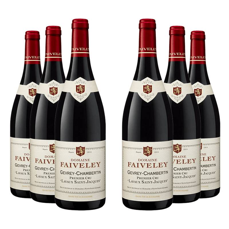 Domaine Faiveley : Gevrey-Chambertin 1er cru "Lavaux Saint-Jacques" 2023 von Domaine Faiveley