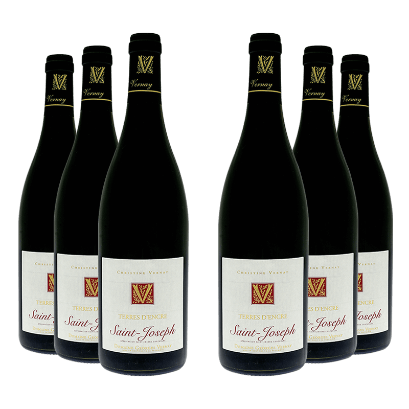 Domaine Georges Vernay : Terres d'Encre 2021 von Domaine Georges Vernay