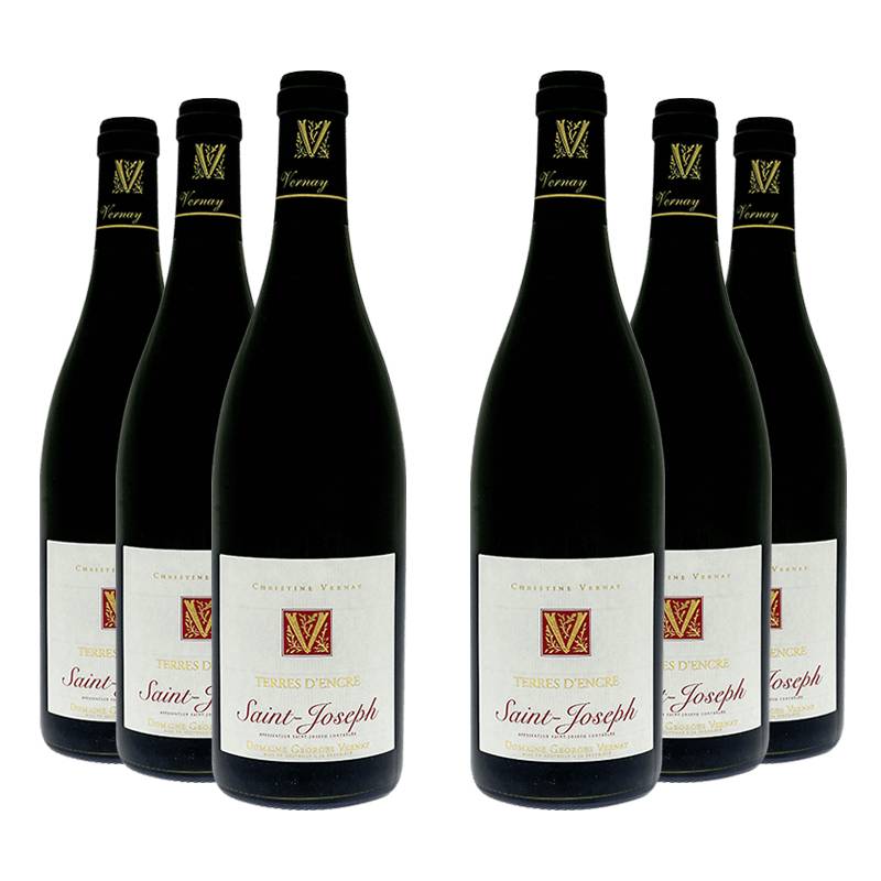 Domaine Georges Vernay : Terres d'Encre 2021 von Domaine Georges Vernay