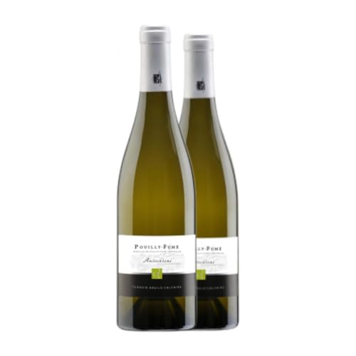 Gérard Fiou Sauvignon Weiß Pouilly-Fumé 75 cl Weißwein (Karton mit 2 Flaschen von 75 cl) von Domaine Gérard Fiou