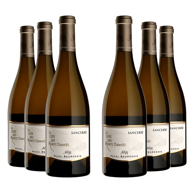 Domaine Henri Bourgeois : La Côte des Monts Damnés 2023 von Domaine Henri Bourgeois