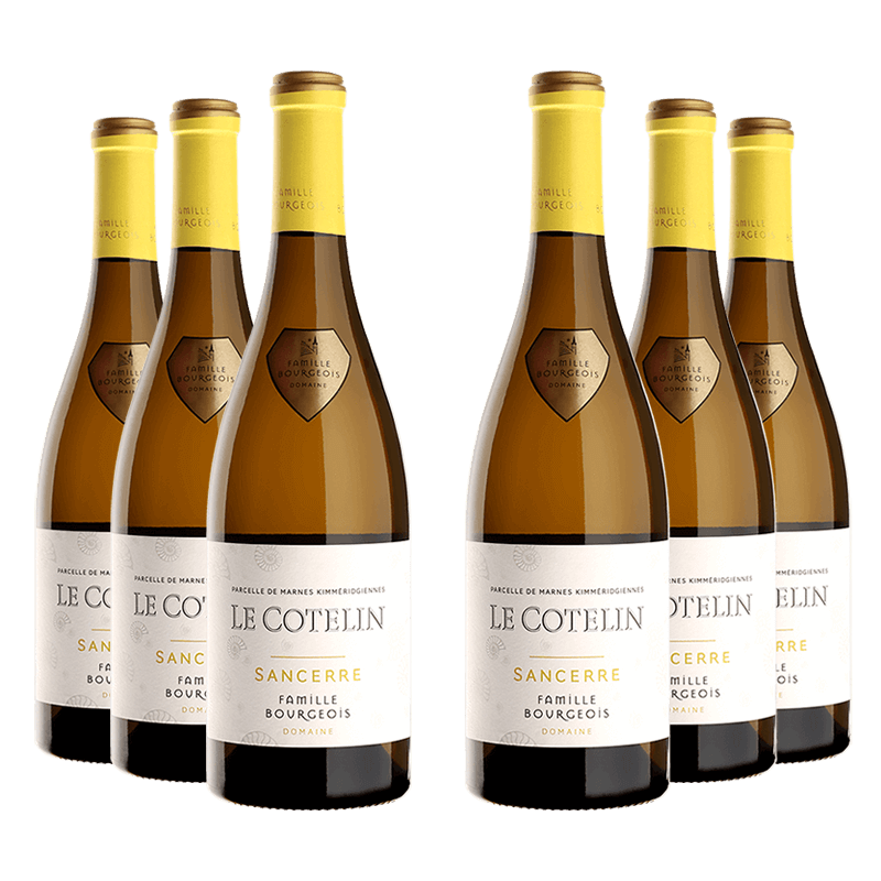 Domaine Henri Bourgeois : Le Cotelin 2019 von Domaine Henri Bourgeois