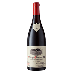 Domaine Henri Rebourseau : Gevrey-Chambertin Village 2021 von Domaine Henri Rebourseau