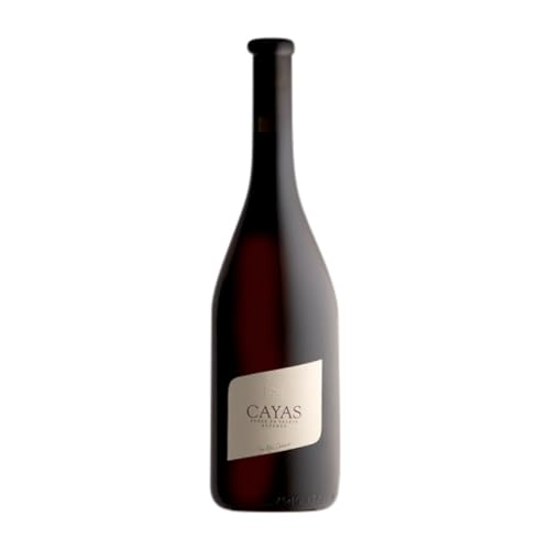 Jean-René Germanier Cayas Syrah Valais Alterung 75 cl Rotwein von Domaine Jean-René Germanier