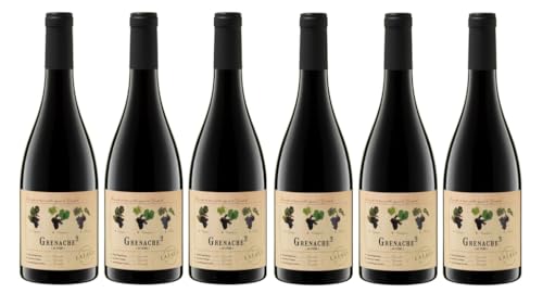 6x 0,75l - 2020er - Domaine Lafage - Grenache au cube - Vin Communauté Européene - Rotwein trocken von Domaine Lafage