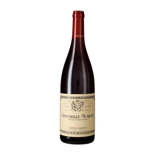 Louis Jadot Spätburgunder Chambolle-Musigny 75 cl Rotwein von Domaine Louis Jadot