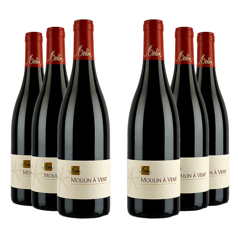 Domaine Merlin : Moulin-à-Vent 2022 von Domaine Merlin