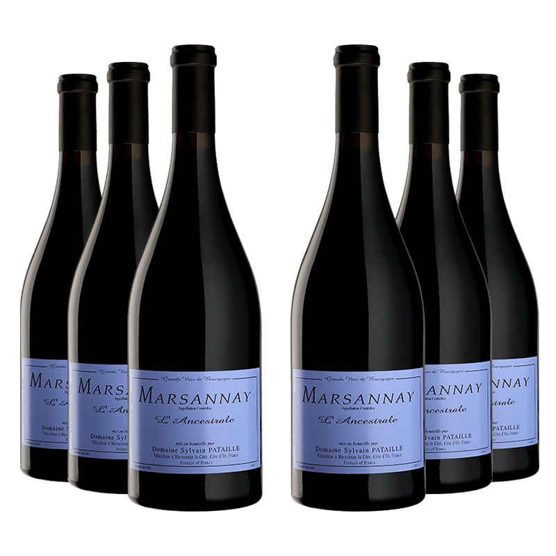 Domaine Sylvain Pataille : Marsannay Village "l'Ancestrale" 2022 von Domaine Sylvain Pataille