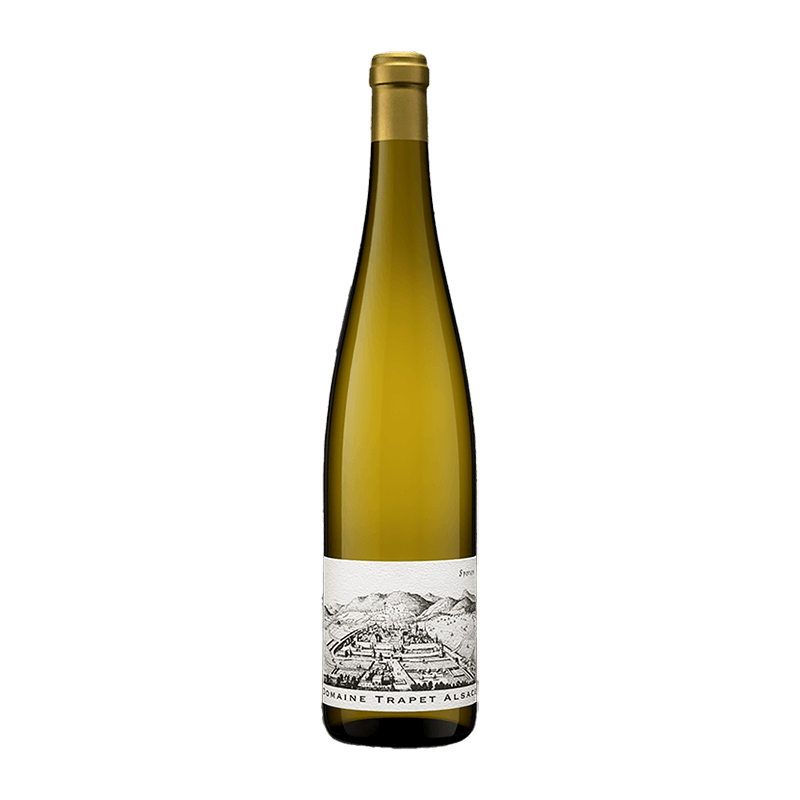 Domaine Trapet : Gewurztraminer Sporen Grand cru 2016 von Domaine Trapet