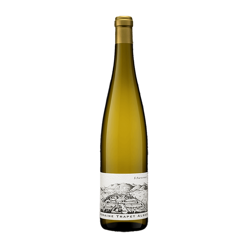 Domaine Trapet : Riesling Schoenenbourg Grand cru 2019 von Domaine Trapet