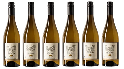 6x 0,75l - 2023er - Domaine de Belle Mare - Sauvignon Blanc - Pays d'Oc I.G.P. - Languedoc - Frankreich - Weißwein trocken von Domaine de Belle Mare