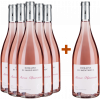 Montahuc 2023 5+1 Paket Rosé 2023 von Domaine de Montahuc