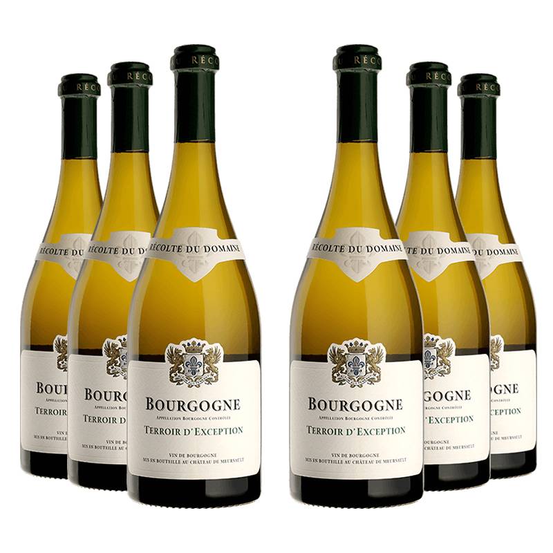 Domaine du Château de Meursault : Bourgogne Terroir d'Exception 2022 von Domaine du Château de Meursault