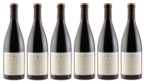 6x 0,75l - Dominio Dostares - Cumal - Prieto Picudo - Vino de la Tierra de Castilla y Léon - Spanien - Rotwein trocken von Dominio Dostares