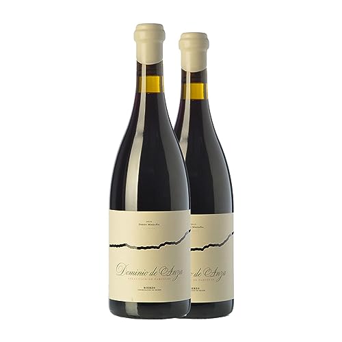 Dominio de Anza Selección de Parcelas Bierzo Jung 75 cl (Schachtel mit 2 Flaschen von 75 cl) von Distribuidor