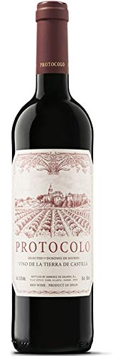 Bodegas Dominio de Eguren 2018 'Protocolo' Tempranillo vino de la tierra de Castilla von Dominio de Eguren