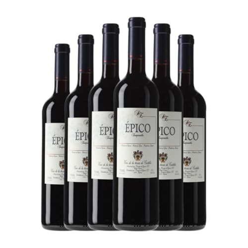 Dominio de Eguren Épico 75 cl Rotwein (Karton mit 6 Flaschen von 75 cl) von Dominio de Eguren