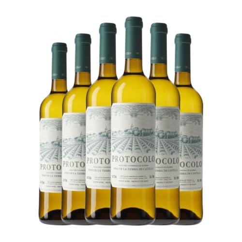 Dominio de Eguren Protocolo Blanco 75 cl Weißwein (Karton mit 6 Flaschen von 75 cl) von Dominio de Eguren