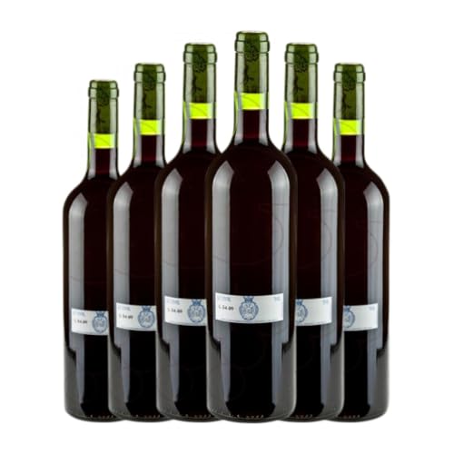 Dominio de Eguren Tempranillo Jung 75 cl Rotwein (Karton mit 6 Flaschen von 75 cl) von Dominio de Eguren