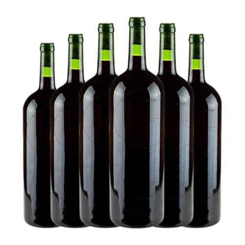 Dominio de Eguren Tempranillo Jung Magnum-Flasche 1,5 L Rotwein (Karton mit 6 Magnum-Flasche von 1,5 L) von Dominio de Eguren