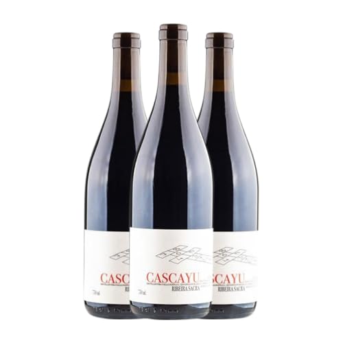 Dominio do Bibei Cascayu Ribeira Sacra 75 cl Rotwein (Karton mit 3 Flaschen von 75 cl) von Dominio do Bibei