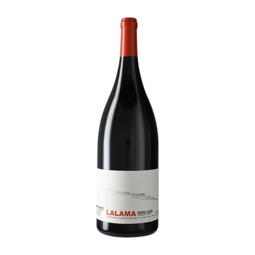 Dominio do Bibei Lalama Ribeira Sacra Magnum-Flasche 1,5 L Rotwein von Dominio do Bibei